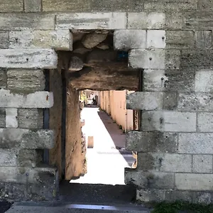 Le Limasset Avignon